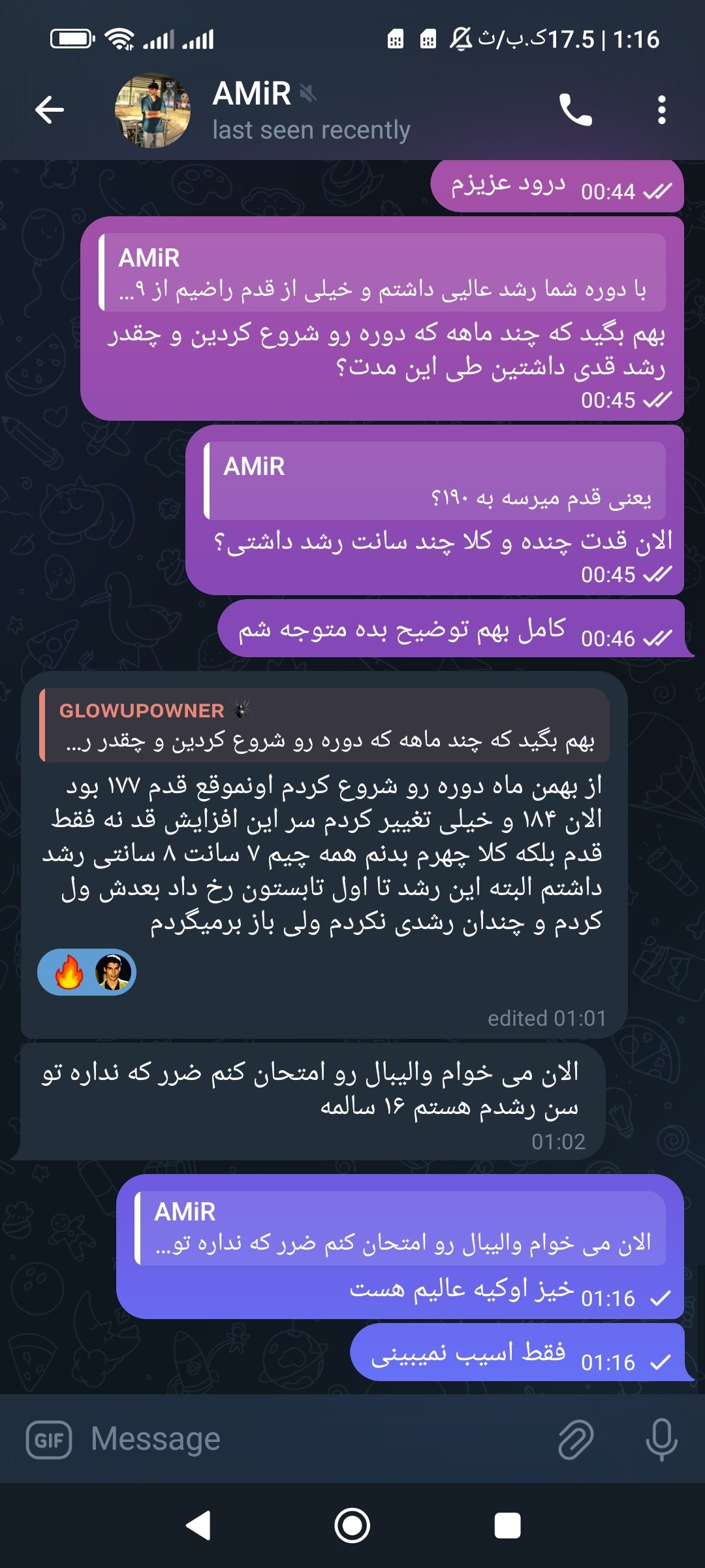 امیر